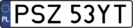 PSZ53YT