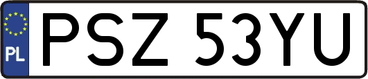 PSZ53YU