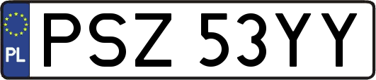 PSZ53YY