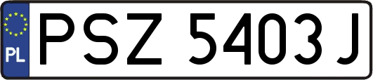 PSZ5403J