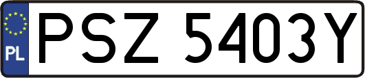 PSZ5403Y