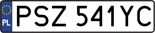 PSZ541YC