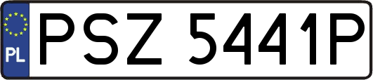 PSZ5441P