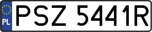 PSZ5441R