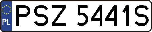 PSZ5441S
