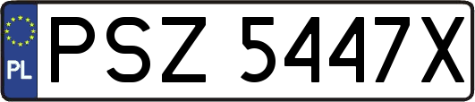 PSZ5447X