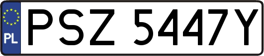 PSZ5447Y