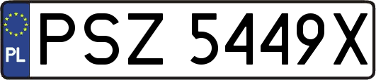 PSZ5449X