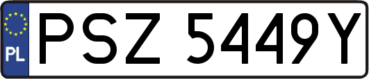 PSZ5449Y