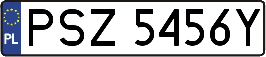 PSZ5456Y