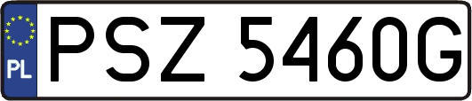 PSZ5460G
