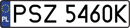 PSZ5460K