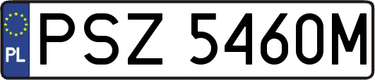 PSZ5460M