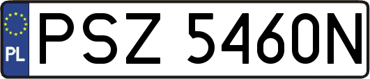 PSZ5460N