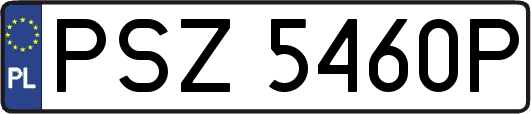 PSZ5460P