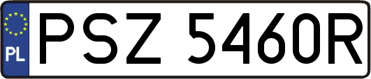 PSZ5460R