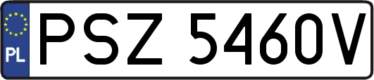 PSZ5460V