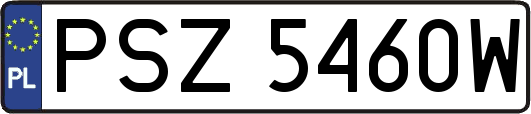 PSZ5460W