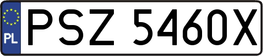 PSZ5460X