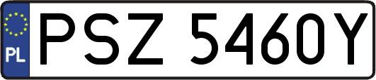 PSZ5460Y