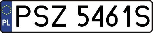 PSZ5461S