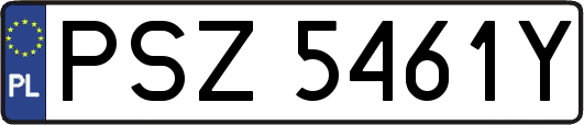 PSZ5461Y