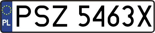 PSZ5463X