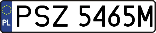 PSZ5465M