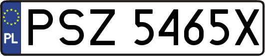 PSZ5465X