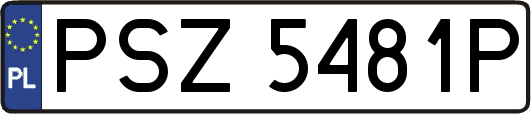 PSZ5481P