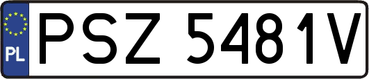 PSZ5481V