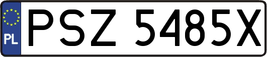 PSZ5485X