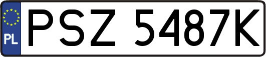 PSZ5487K