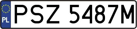 PSZ5487M