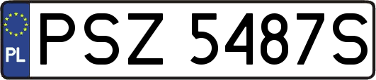 PSZ5487S