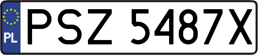 PSZ5487X