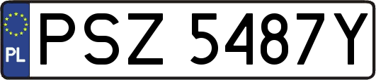 PSZ5487Y