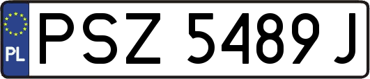 PSZ5489J