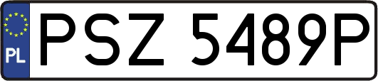 PSZ5489P