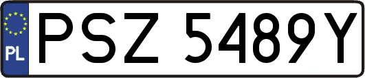 PSZ5489Y