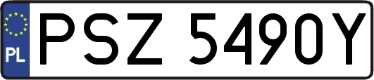 PSZ5490Y