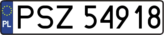 PSZ54918