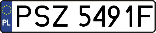 PSZ5491F