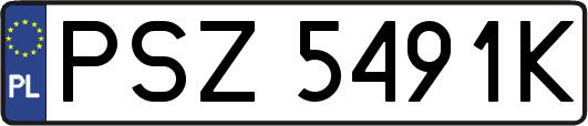 PSZ5491K