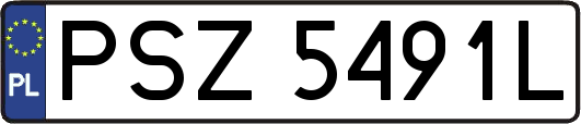 PSZ5491L