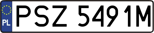 PSZ5491M