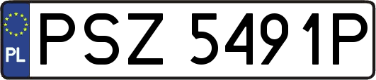 PSZ5491P