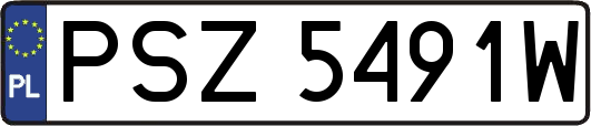 PSZ5491W