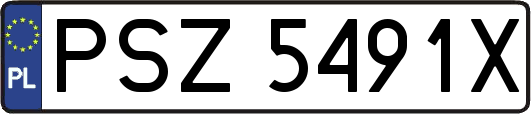 PSZ5491X