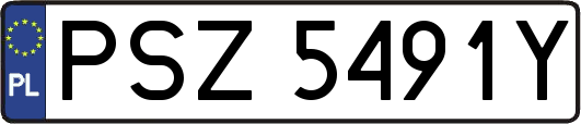 PSZ5491Y